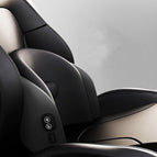 Negro clásico / Masaje lumbar en reposacabezas