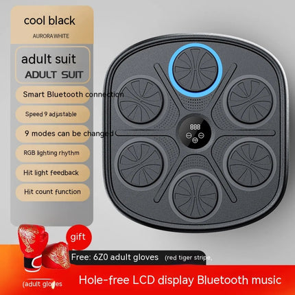 Music Boxing Target Wall Fitness Equipment Upishoppy