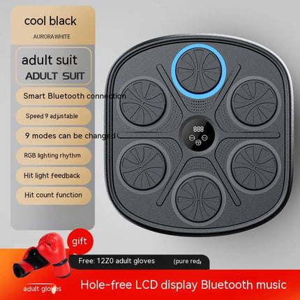 Music Boxing Target Wall Fitness Equipment Upishoppy