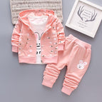 Carrot pink