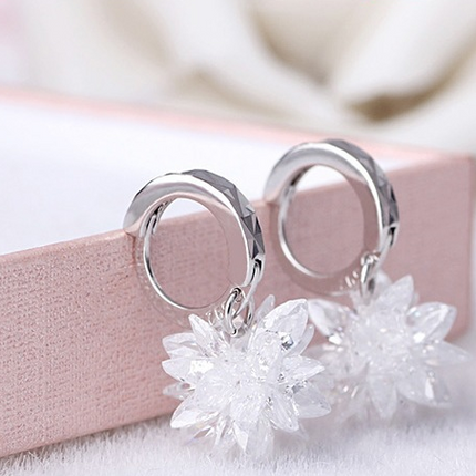 Pure beauty ice 925 silver earrings hypoallergenic non-fading earrings Dropshipman