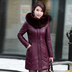 Dark Purple