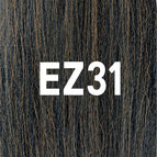 EZ31
