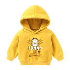 Yellow Big Face Cat