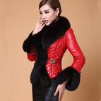Red Black