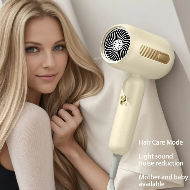 Standard Leakage Protection Speed Electric Hair Dryer Household High Power Quick-drying Constant Temperature Upishoppy