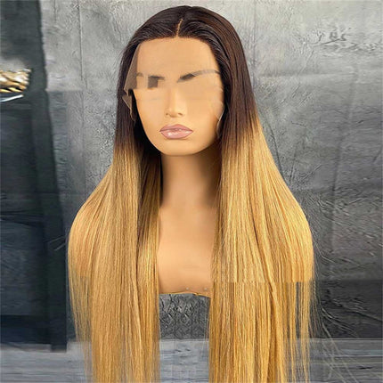 Real Hair Gradient Lace Wig