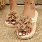 Dark Khaki Cloth Color