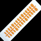 TZ456