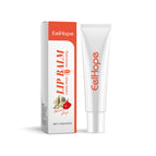 Saveur Melon 15g