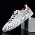 CD01-White brown