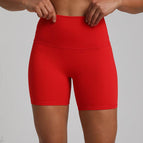 4073 Christmas Red