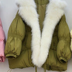 Dark Khaki Cloth