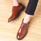 866 Brown / 41