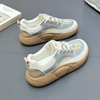 Beige Gray