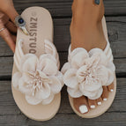 Beige White