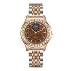 Brown Watch