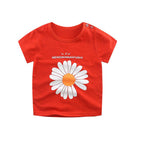 small chrysanthemum