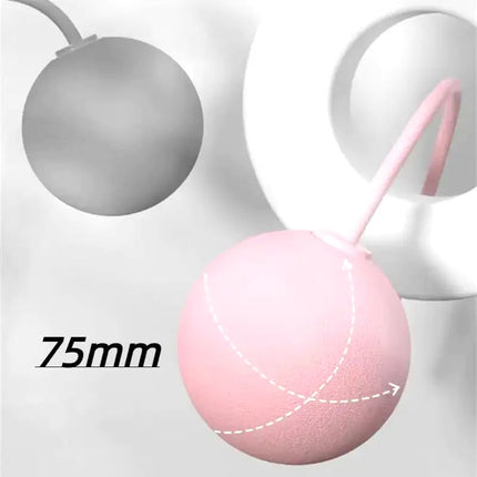 1Pcs Cordless Jump Rope Home Gym Equipment with Heavy Balls Sports Fitness Training Bodybuilding Exercise Rapid Speed Skipping Upishoppy