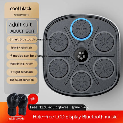 Music Boxing Target Wall Fitness Equipment Upishoppy