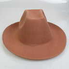Un camello