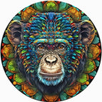 Type B King Kong