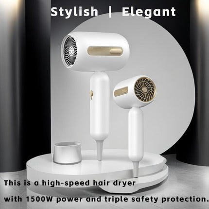 Standard Leakage Protection Speed Electric Hair Dryer Household High Power Quick-drying Constant Temperature Upishoppy