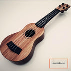 38cm Acacia Mangium Couleurs