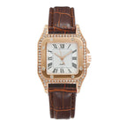 Brown Watch