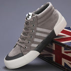 23805 Gris