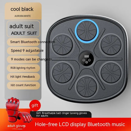 Music Boxing Target Wall Fitness Equipment Upishoppy