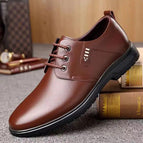 9010 Brown / 43