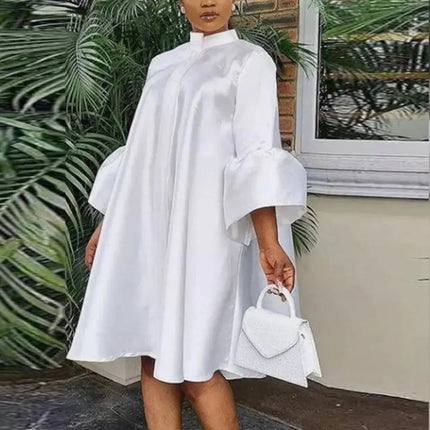 Elegant Puff Sleeves Dress - Viva Vista Store